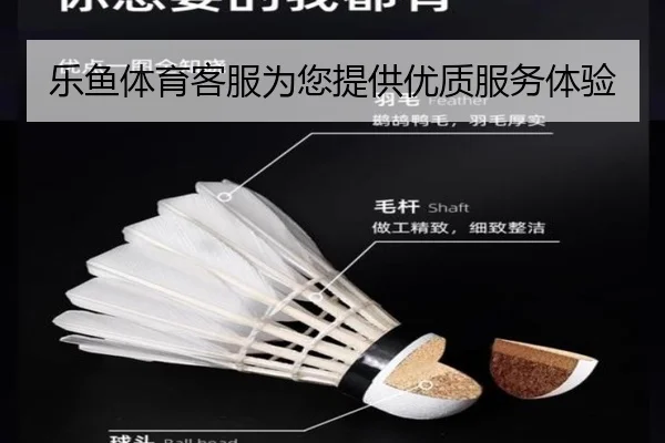 乐鱼体育客服为您提供优质服务体验